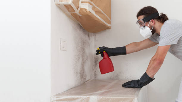 Professional Commercial Mold Remediation technician working in Roxbury Crossing, MA